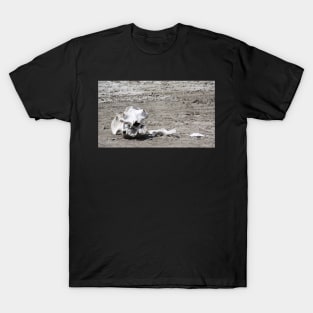 Death in a Dead Lake. The Stark reality of Climate Change, Tanzania T-Shirt